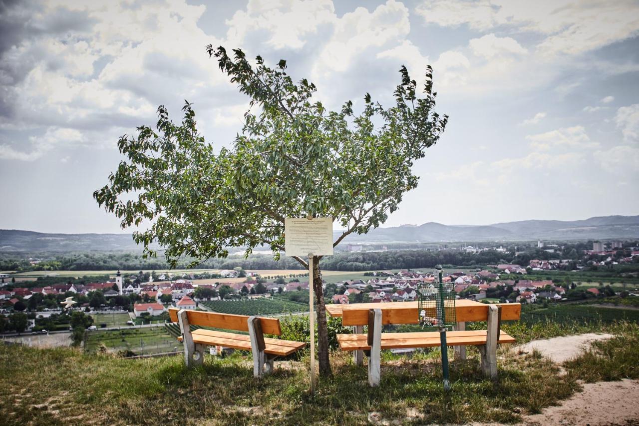 Schmankerl Und Gast Bed & Breakfast Rohrendorf bei Krems Bagian luar foto