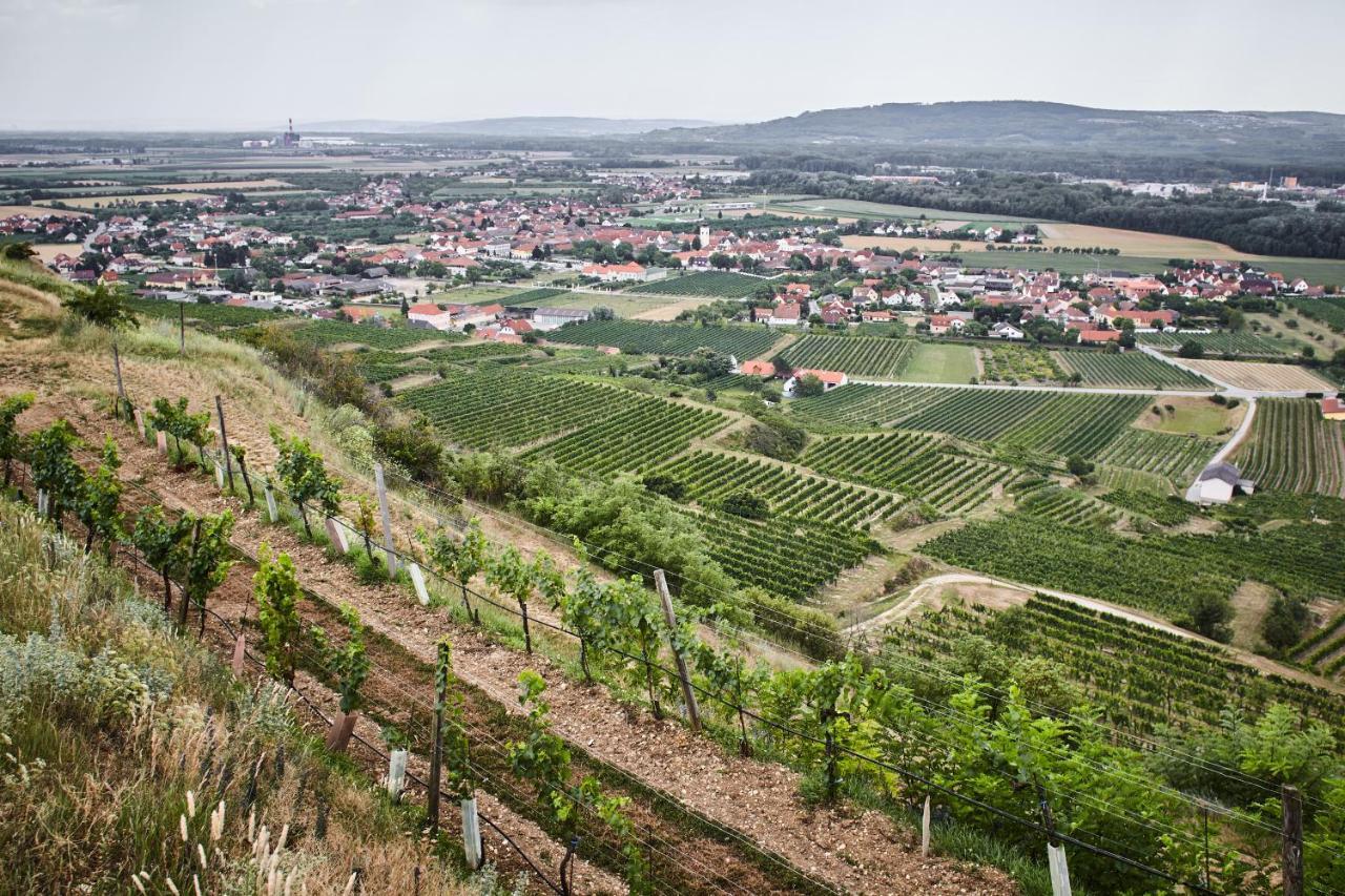 Schmankerl Und Gast Bed & Breakfast Rohrendorf bei Krems Bagian luar foto