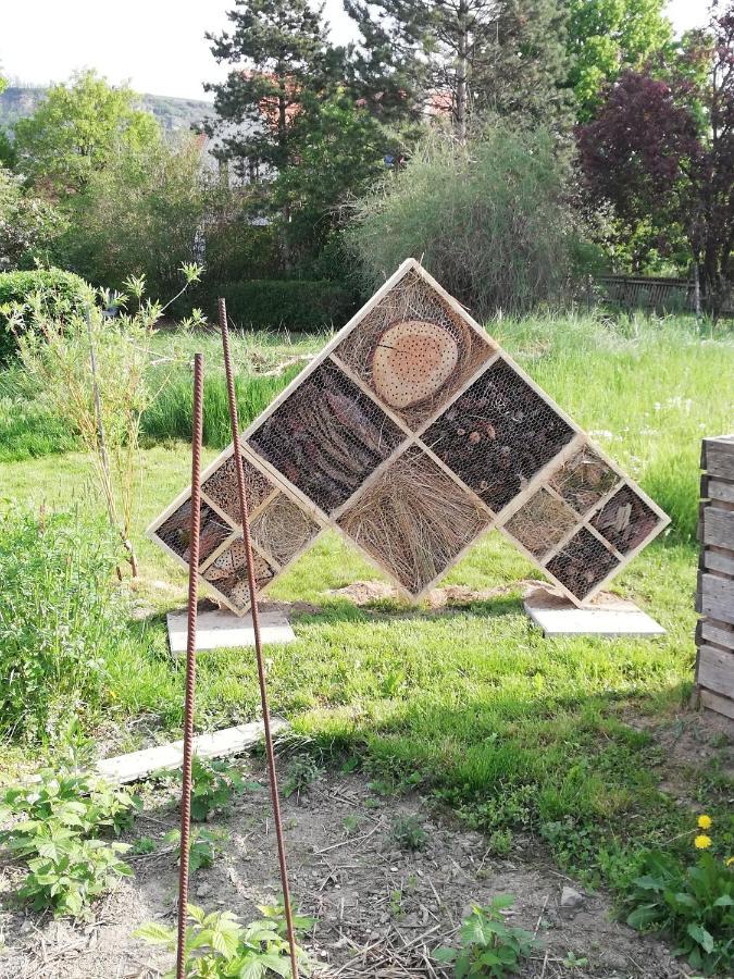 Schmankerl Und Gast Bed & Breakfast Rohrendorf bei Krems Bagian luar foto
